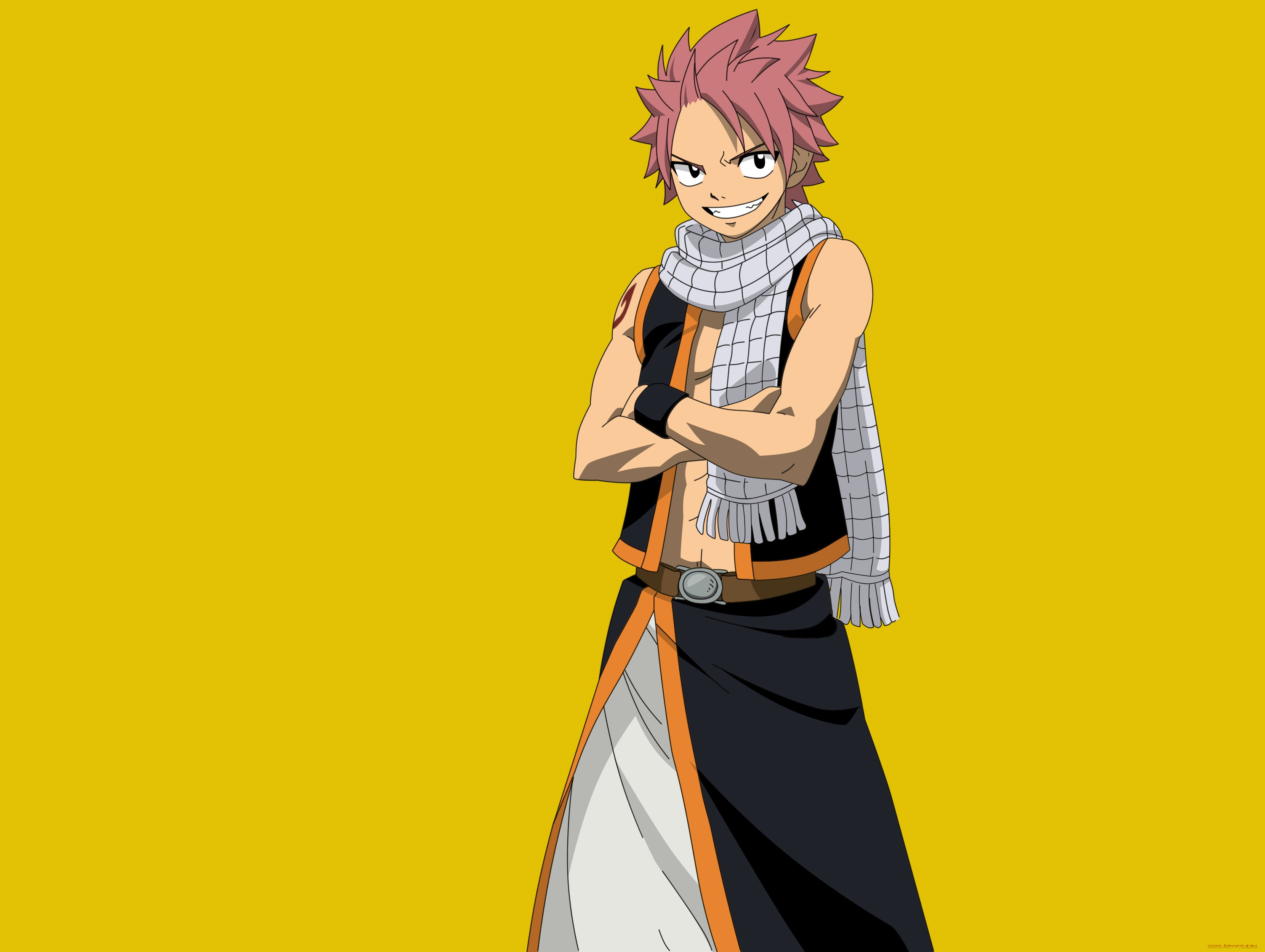 , fairy tail, 
